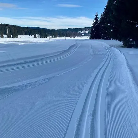 Apartmany Lipno 46 Lipno nad Vltavou Buitenkant foto