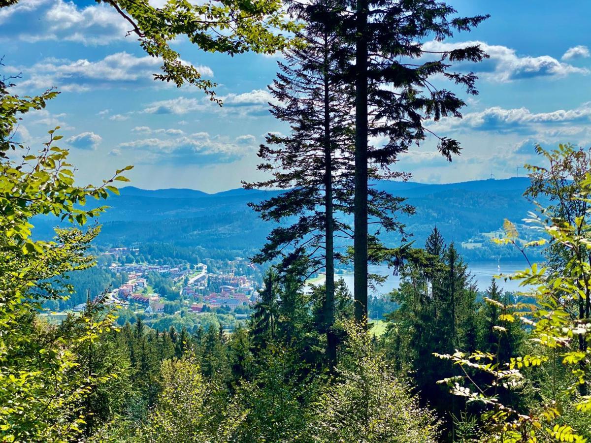 Apartment Lipno 46 *