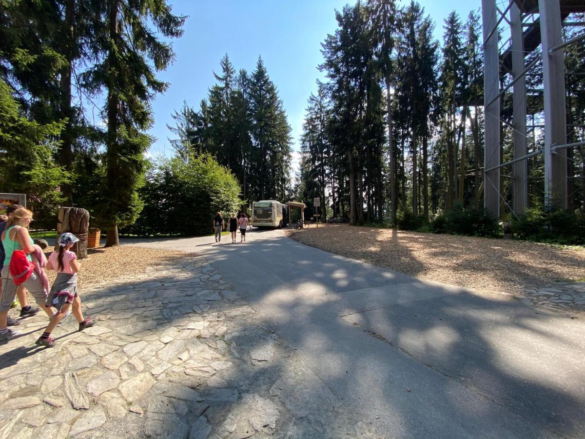 Lipno 46 * Lipno nad Vltavou