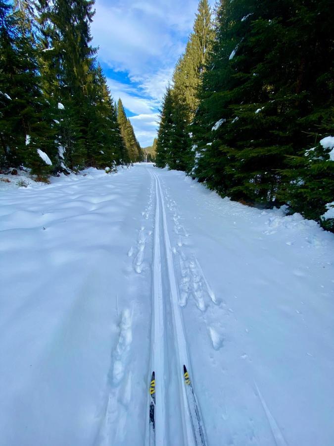 Lipno 46