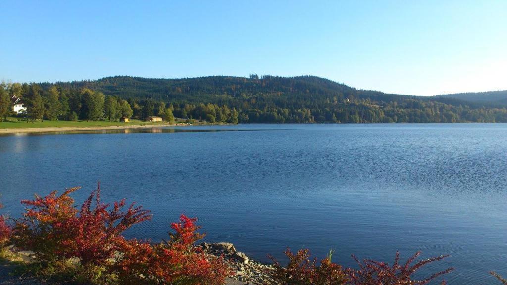 Lipno 46 Apartment *