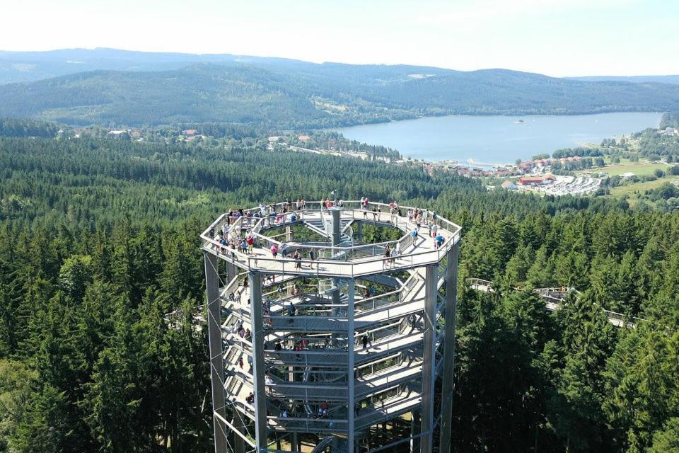Lipno 46 *